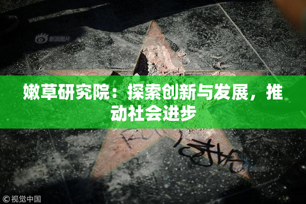嫩草研究院：探索创新与发展，推动社会进步