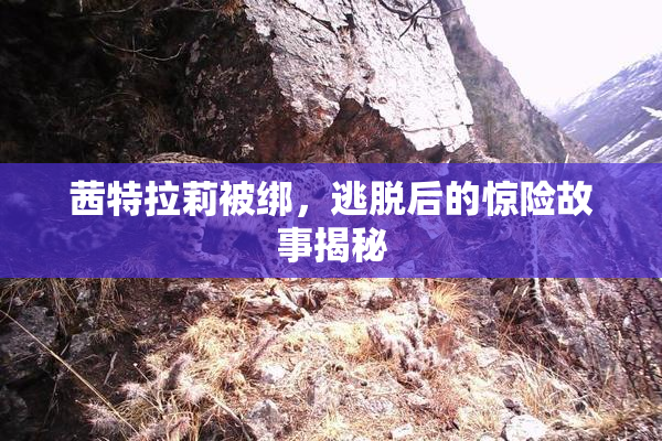 茜特拉莉被绑，逃脱后的惊险故事揭秘