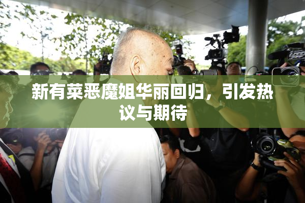 新有菜恶魔姐华丽回归，引发热议与期待