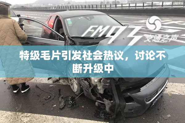 特级毛片引发社会热议，讨论不断升级中