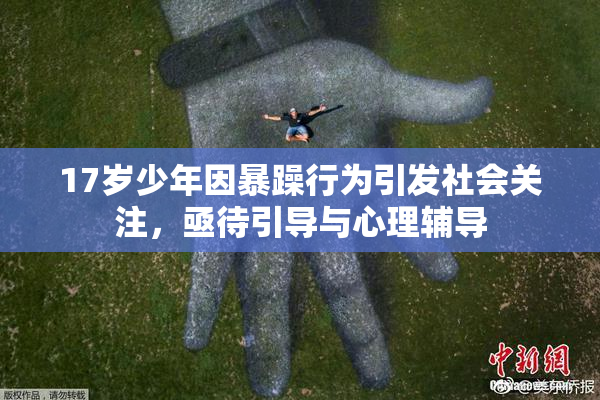 17岁少年因暴躁行为引发社会关注，亟待引导与心理辅导