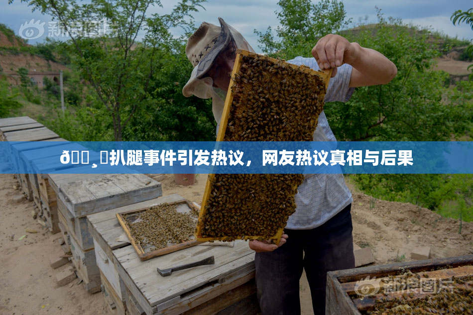 🌸‌扒腿事件引发热议，网友热议真相与后果