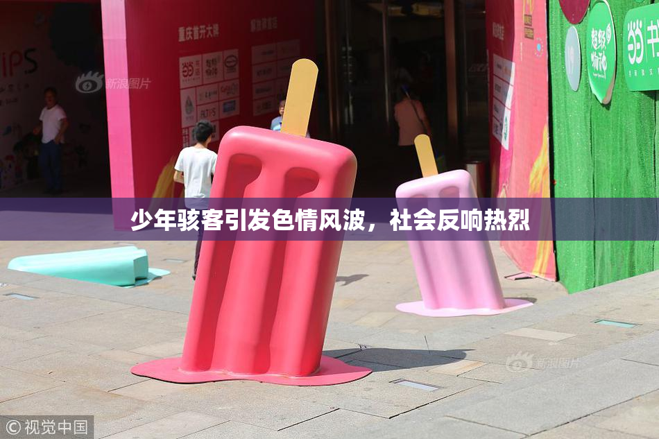 少年骇客引发色情风波，社会反响热烈