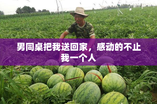 男同桌把我送回家，感动的不止我一个人