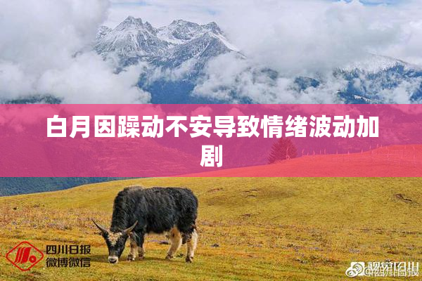 白月因躁动不安导致情绪波动加剧