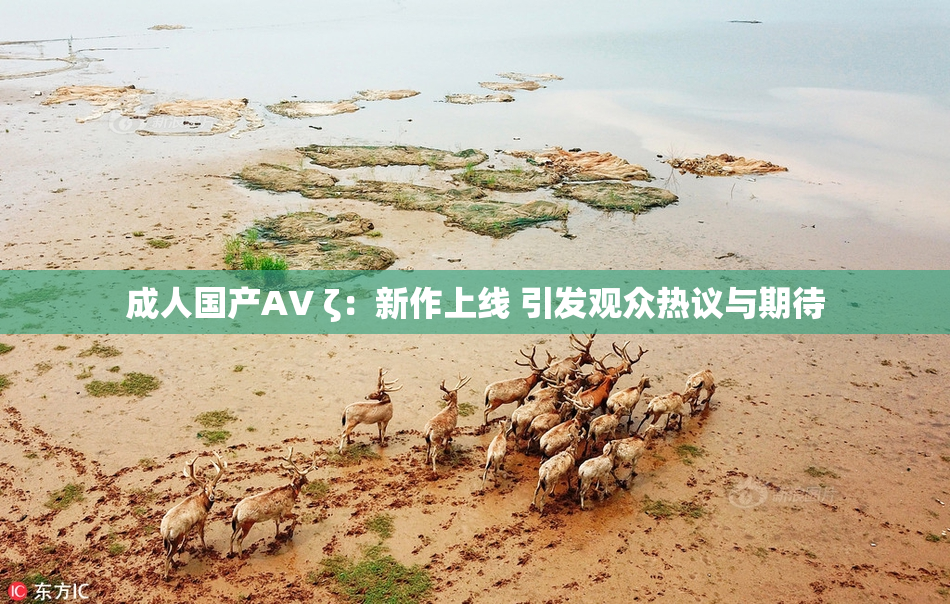 成人国产AV ζ：新作上线 引发观众热议与期待