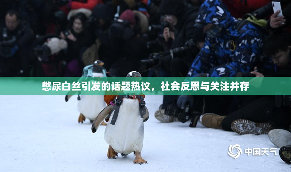 憋尿白丝引发的话题热议，社会反思与关注并存