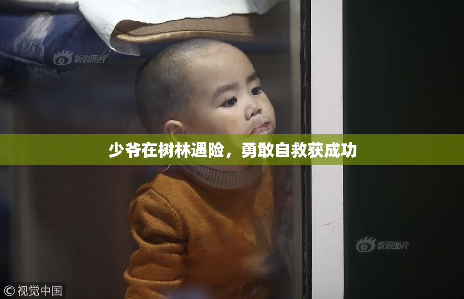 少爷在树林遇险，勇敢自救获成功