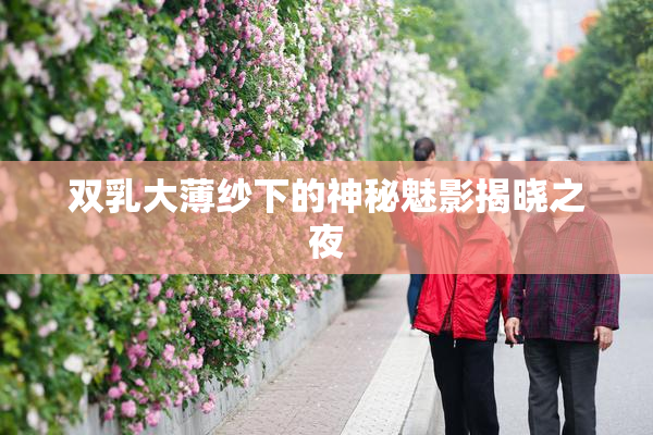 双乳大薄纱下的神秘魅影揭晓之夜