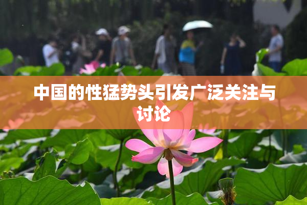 中国的性猛势头引发广泛关注与讨论