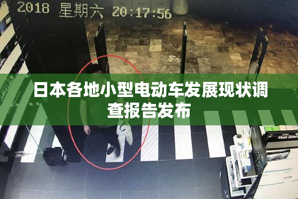日本各地小型电动车发展现状调查报告发布