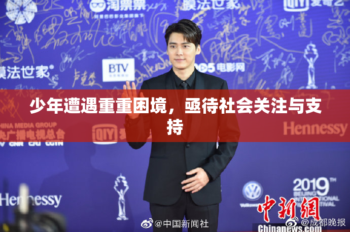 少年遭遇重重困境，亟待社会关注与支持