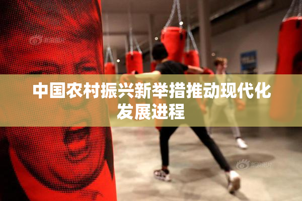 中国农村振兴新举措推动现代化发展进程