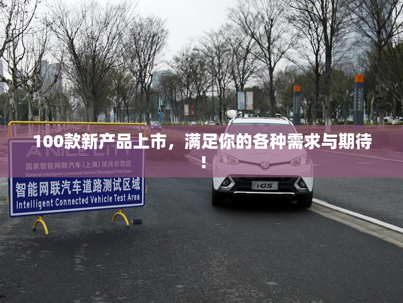 100款新产品上市，满足你的各种需求与期待！