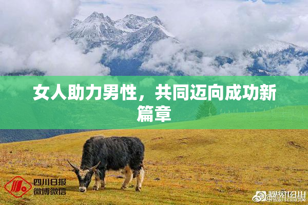 女人助力男性，共同迈向成功新篇章