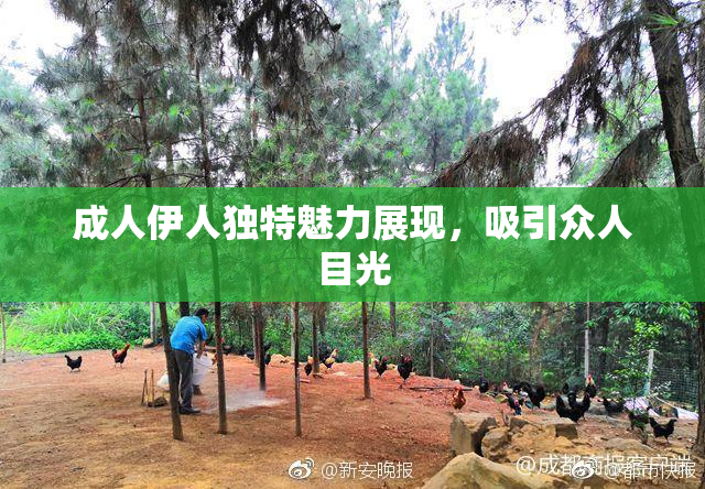 成人伊人独特魅力展现，吸引众人目光