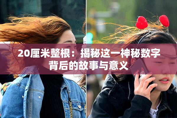 20厘米整根：揭秘这一神秘数字背后的故事与意义