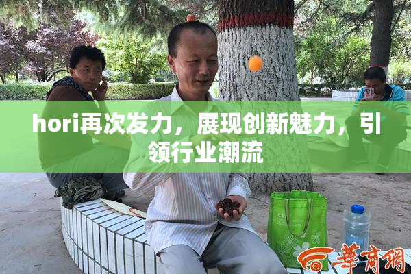 hori再次发力，展现创新魅力，引领行业潮流