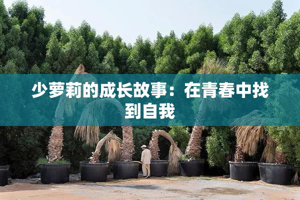 少萝莉的成长故事：在青春中找到自我