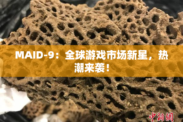 MAID-9：全球游戏市场新星，热潮来袭！