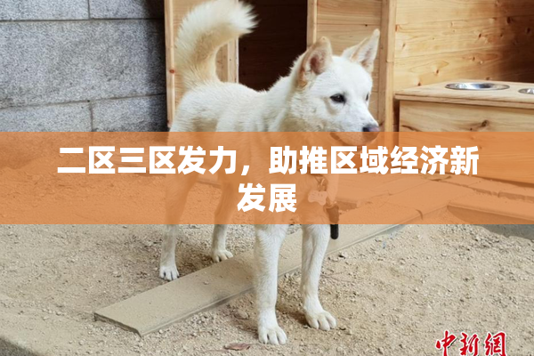 二区三区发力，助推区域经济新发展
