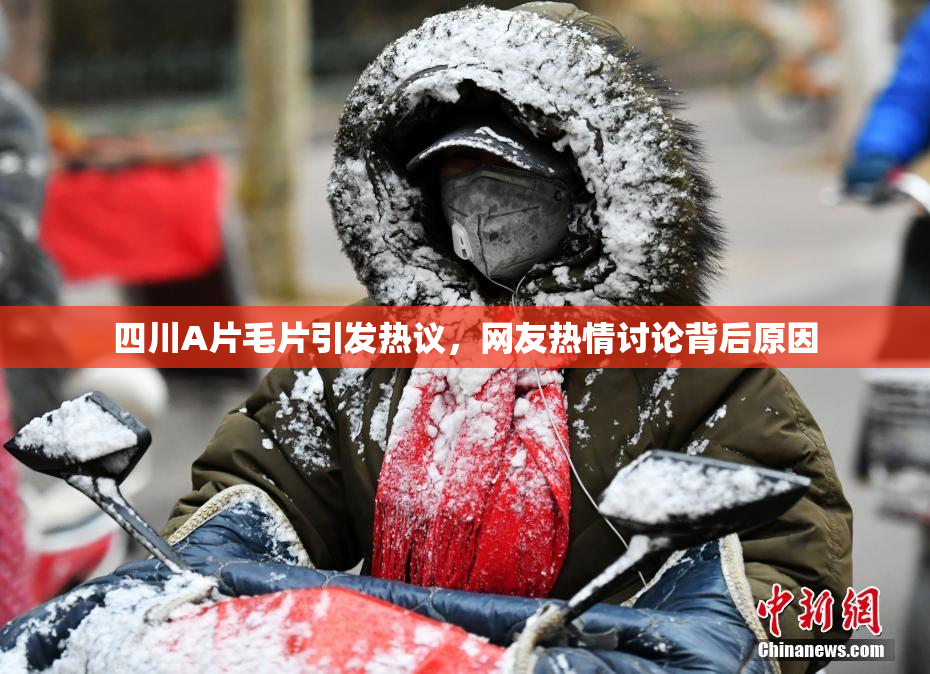 四川A片毛片引发热议，网友热情讨论背后原因