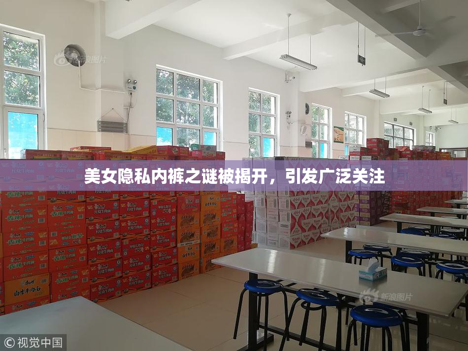 美女隐私内裤之谜被揭开，引发广泛关注