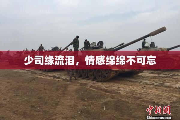 少司缘流泪，情感绵绵不可忘