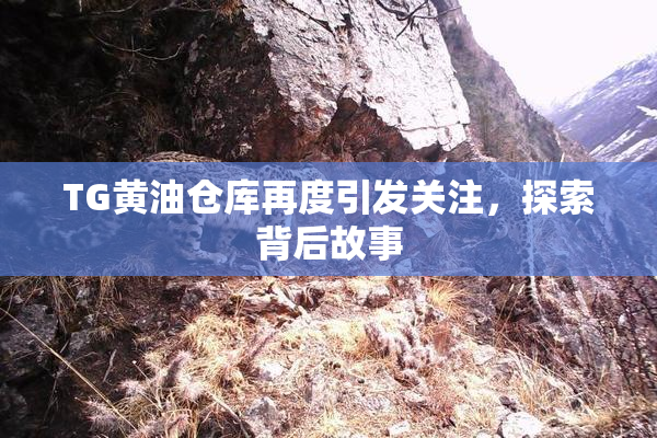 TG黄油仓库再度引发关注，探索背后故事