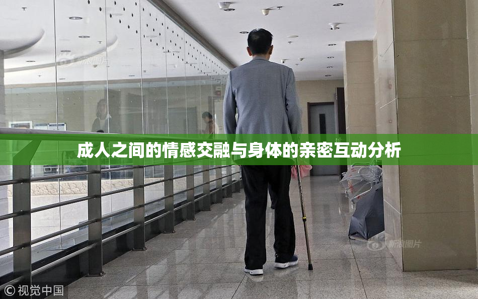 成人之间的情感交融与身体的亲密互动分析