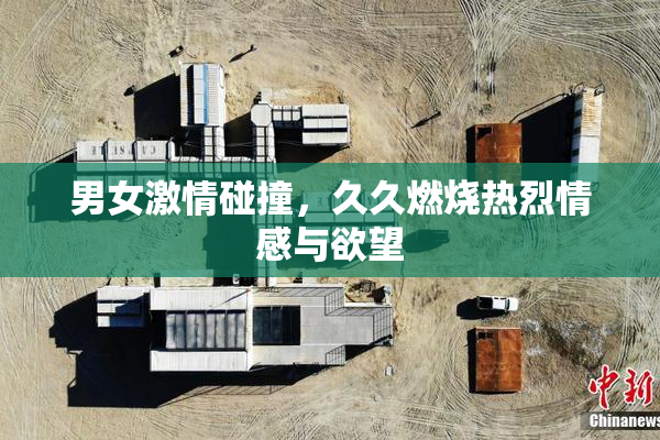 男女激情碰撞，久久燃烧热烈情感与欲望