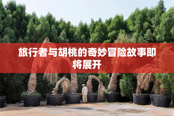 旅行者与胡桃的奇妙冒险故事即将展开