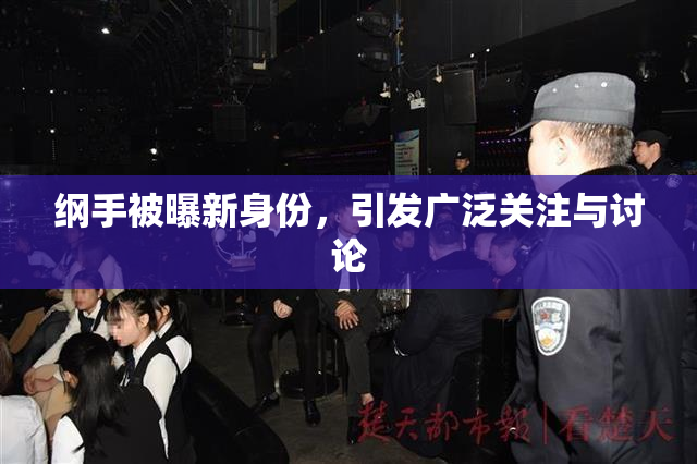 纲手被曝新身份，引发广泛关注与讨论