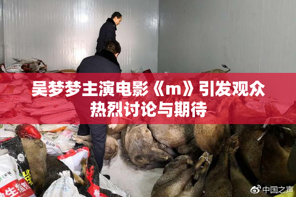 吴梦梦主演电影《m》引发观众热烈讨论与期待