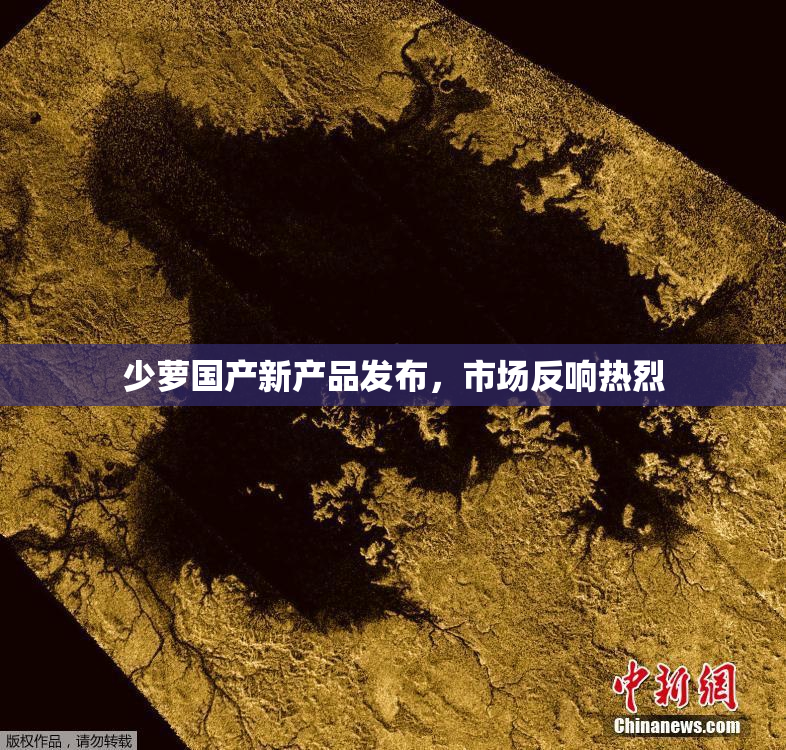 少萝国产新产品发布，市场反响热烈