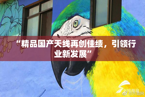 “精品国产天线再创佳绩，引领行业新发展”