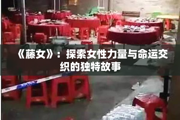 《藤女》：探索女性力量与命运交织的独特故事