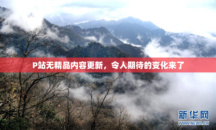 P站无精品内容更新，令人期待的变化来了