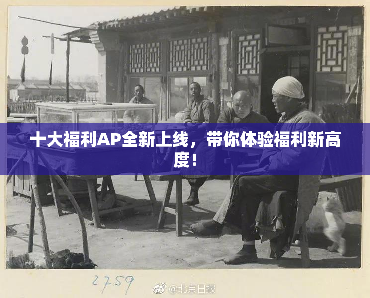 十大福利AP全新上线，带你体验福利新高度！