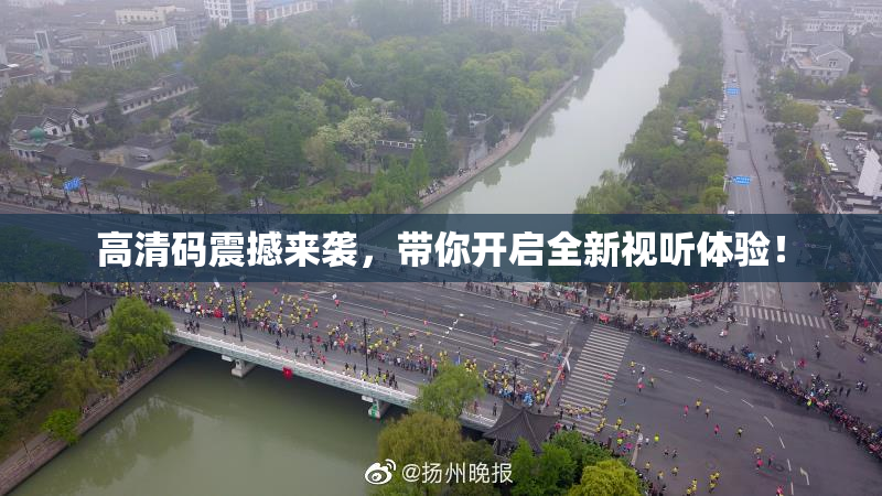 高清码震撼来袭，带你开启全新视听体验！