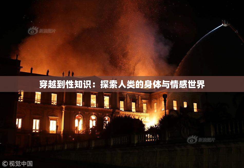 穿越到性知识：探索人类的身体与情感世界