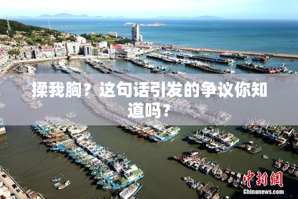 揉我胸？这句话引发的争议你知道吗？