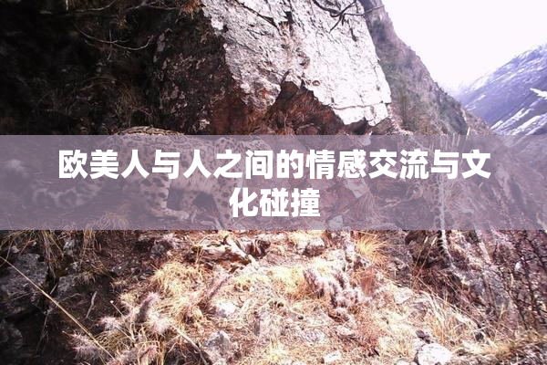 欧美人与人之间的情感交流与文化碰撞