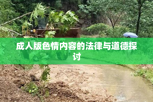 成人版色情内容的法律与道德探讨