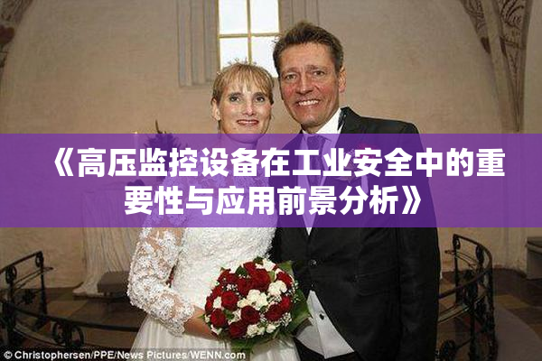 《高压监控设备在工业安全中的重要性与应用前景分析》
