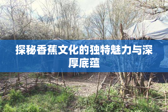 探秘香蕉文化的独特魅力与深厚底蕴