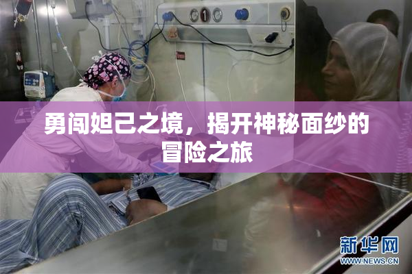 勇闯妲己之境，揭开神秘面纱的冒险之旅