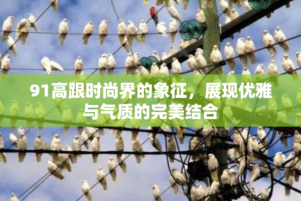 91高跟时尚界的象征，展现优雅与气质的完美结合