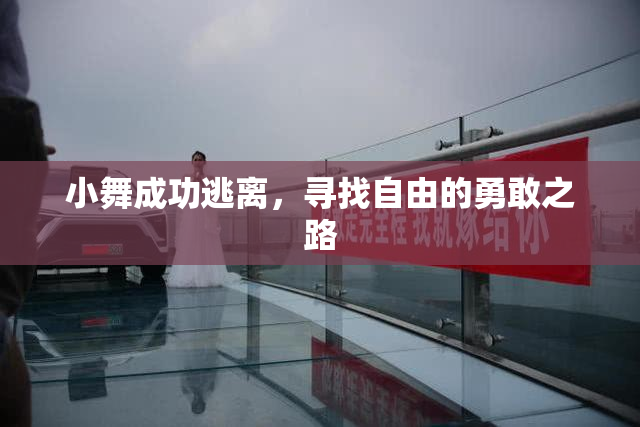 小舞成功逃离，寻找自由的勇敢之路