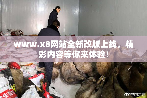 www.x8网站全新改版上线，精彩内容等你来体验！